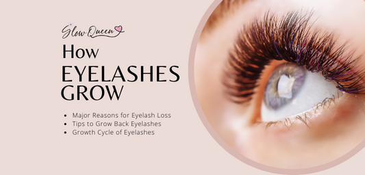 How Eyelashes Grow | Eyelash Loss Reasons and Prevention